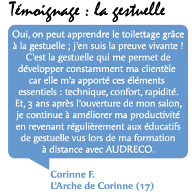 avis-gestuelle-toilettage