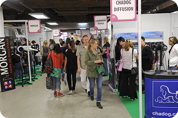 stands-1