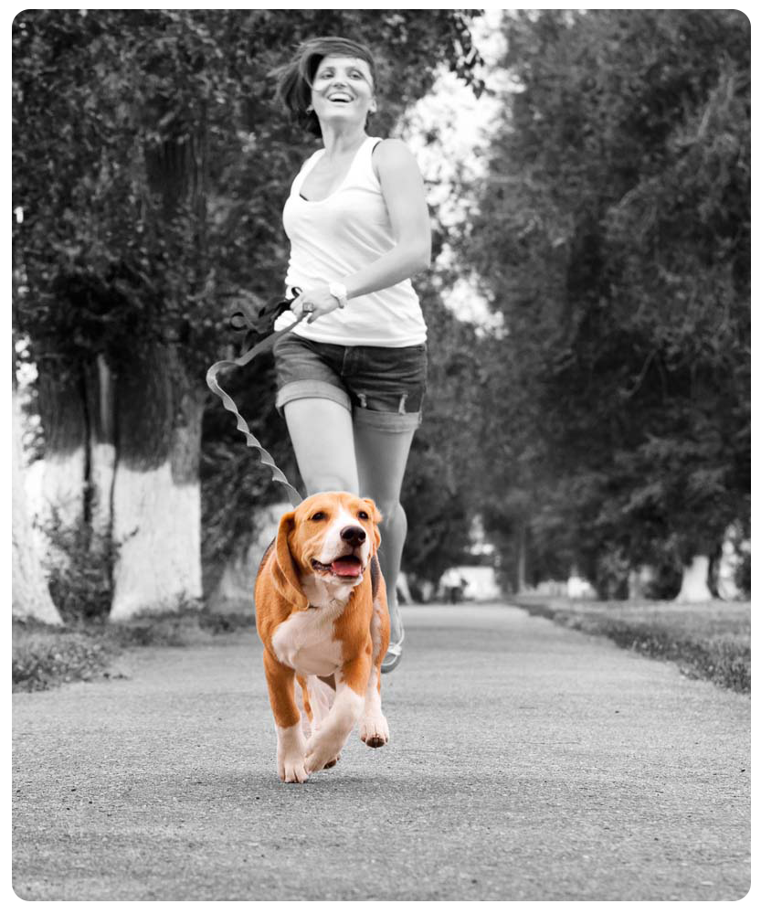 shutterstock_147047189aa