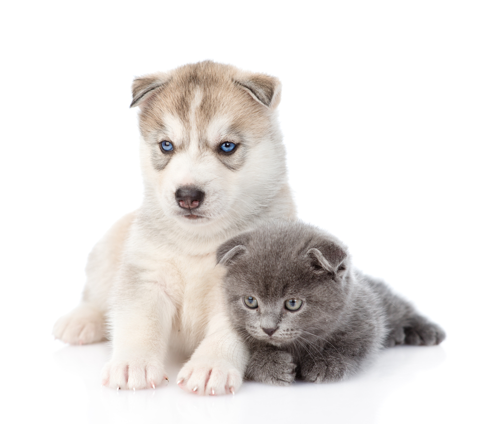 shutterstock_215510491