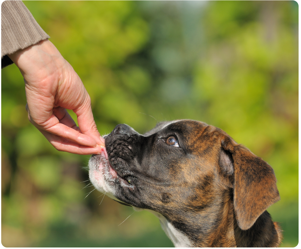 shutterstock_106080011