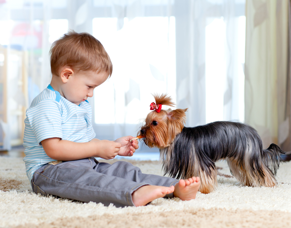 shutterstock_104912129