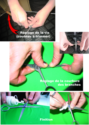 Sans titre1