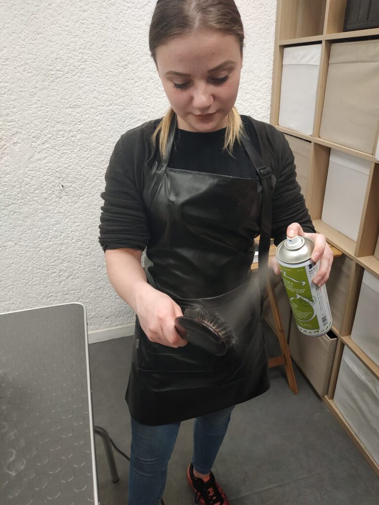 Le produit, sur la brosse, plutôt que directement sur le chien !