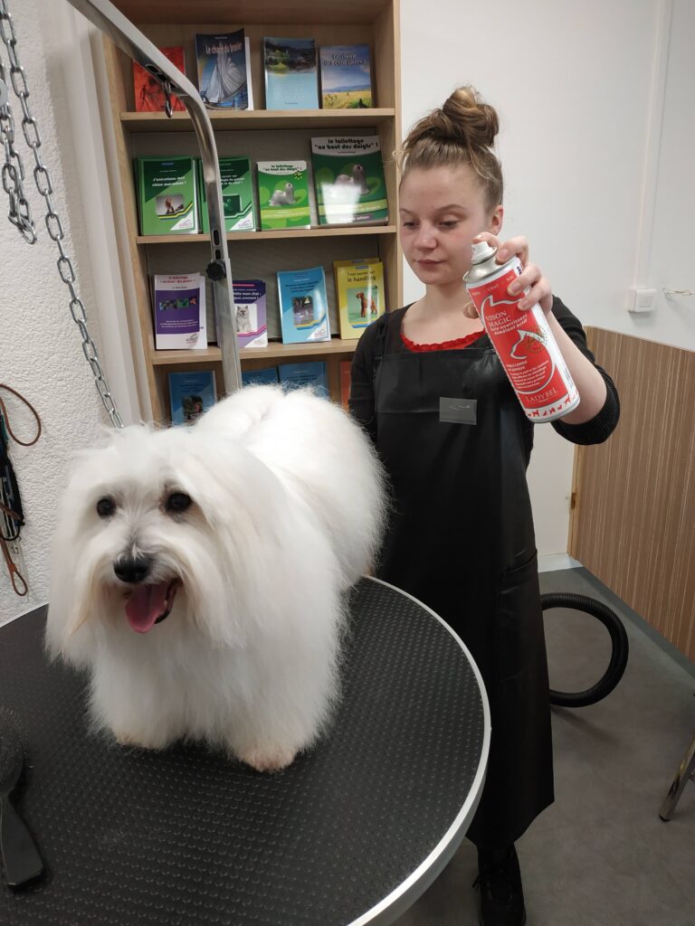 On applique le produit de préférence en premier sur la brosse !