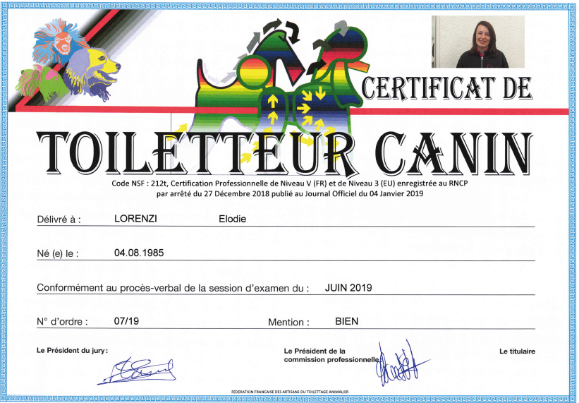 Certificat de Toiletteur Canin : le diplôme d'Elodie Lorenzi