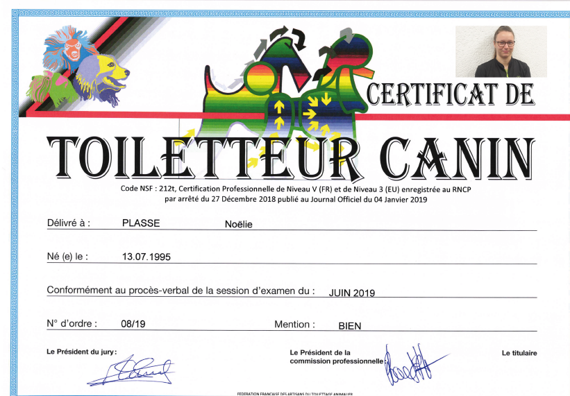 Certificat de Toiletteur Canin : le diplôme de Noëlie Plasse