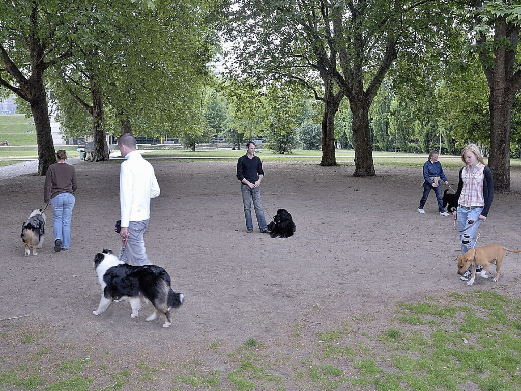 Formation éducateur canin : préférez des stages chez des professionnels différents !