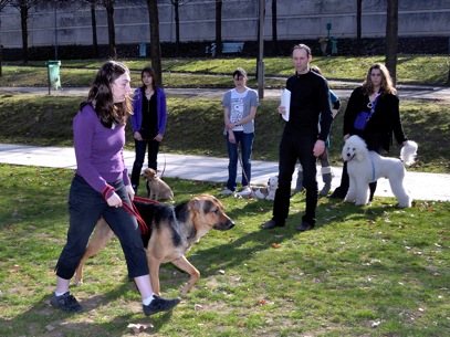 Formation éducateur canin : l'éducateur canin travaille quand ses clients ne travaillent pas