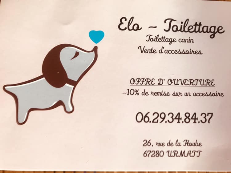 carte de visite salon Elodie